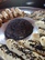 Black and White Sesame Breadsticks w/Poppyseed Goat Cheese Spread
